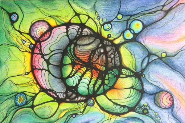 Kraken актуальное