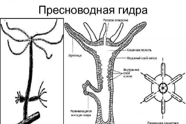 Кракен новый сайт