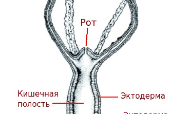 Кракен запрещенные вещества