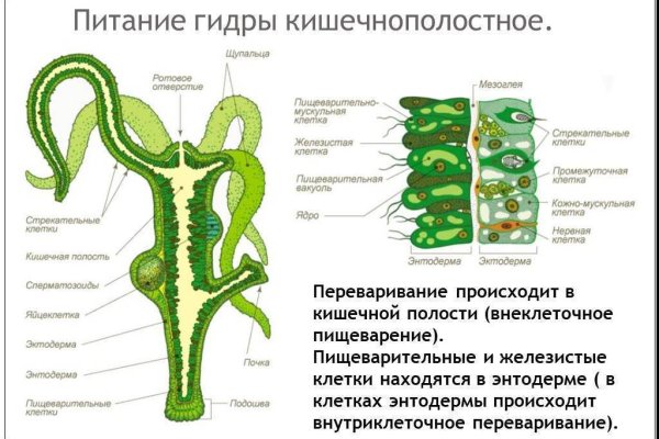 Кракен сбой