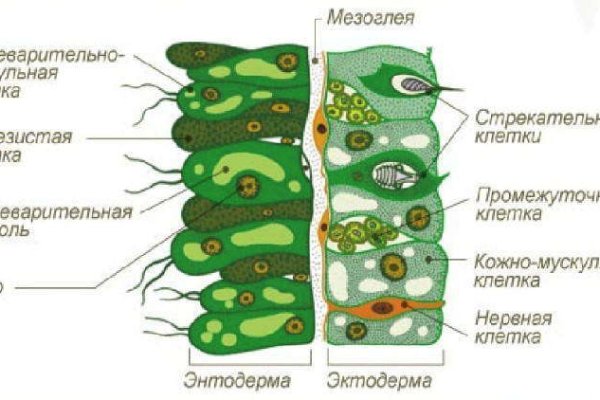 Кракен krakens13 at